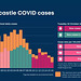 cvd - Newcastle cases : mid October 2020
