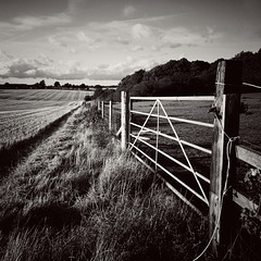 Hertfordshire gate