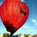 Hot Air Balloon Fully Inflated (H.A.N.W.E.)