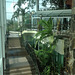 65 Gamboa Resort Lower Interior Gardens