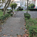 Small garden between Benfica's blocks - I