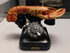 Lobster Telephone by Dali in the Metropolitan Museum of Art, January 2022