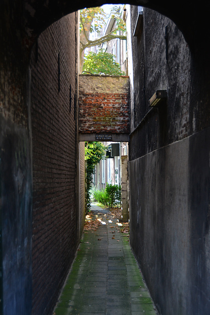 Alley
