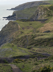 Cornwall - coast path near Duckpool
