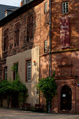 Schloss Steinheim, Museum
