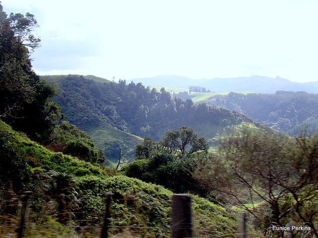 Hilly Landscape.