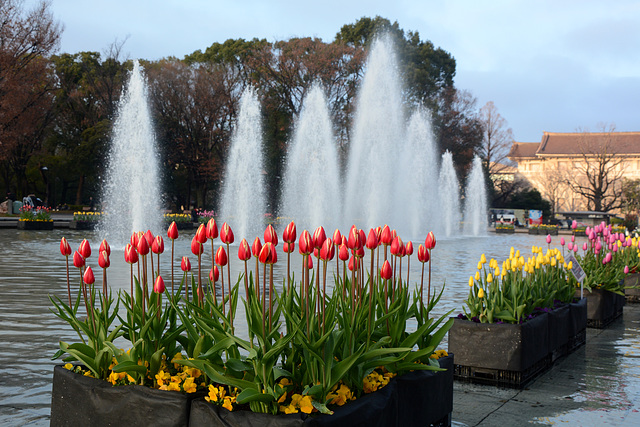 Tokyo, Ueno Park, Large Fountain with Flowerbeds