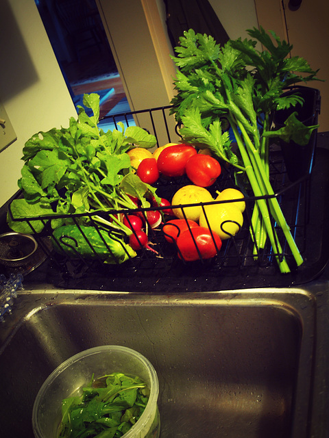A meal from the garden!
