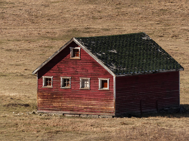 Little red barn with green roof