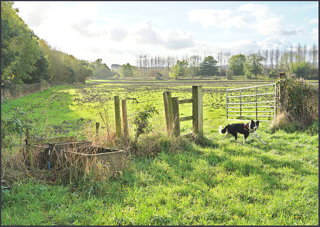 ''A Happy fence Friday'' to all - and 'Good wishes' too... from > Dj.