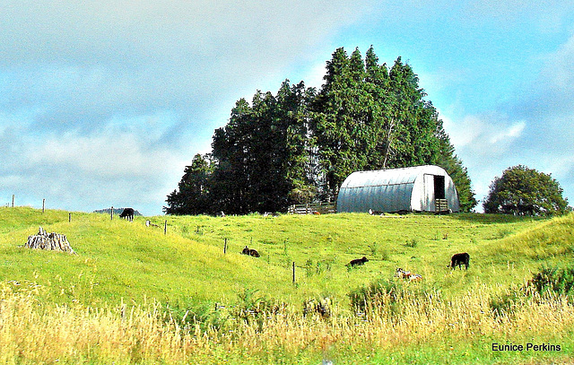 Shed on the hill