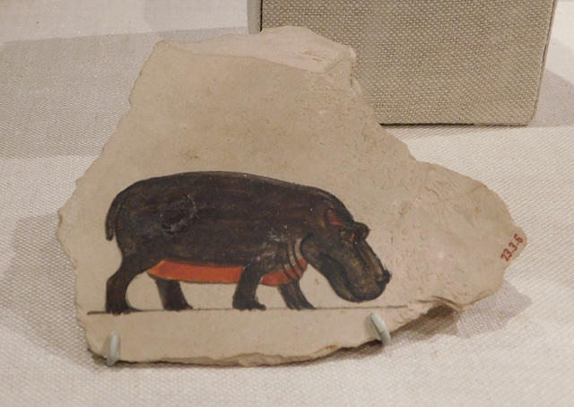 Ostracon with Hippo Sketch in the Metropolitan Museum of Art, September 2018