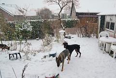 Spelen in de sneeuw