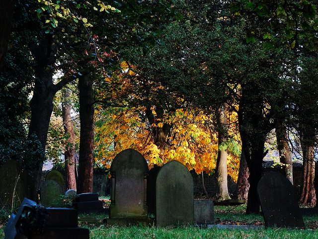 Preston Cemetery. North Shields