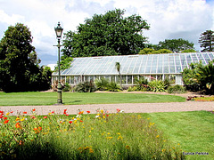 Glasshouse in Hamilton Gardens