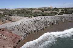 Puerto Madryn,Argentina