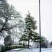 Levengrove Park in the Snow