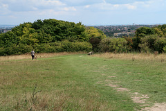 A man and his dog on Highdown Hill