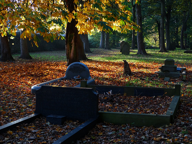 Preston Cemetery. North Shields