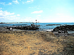 Whakatane Harbour