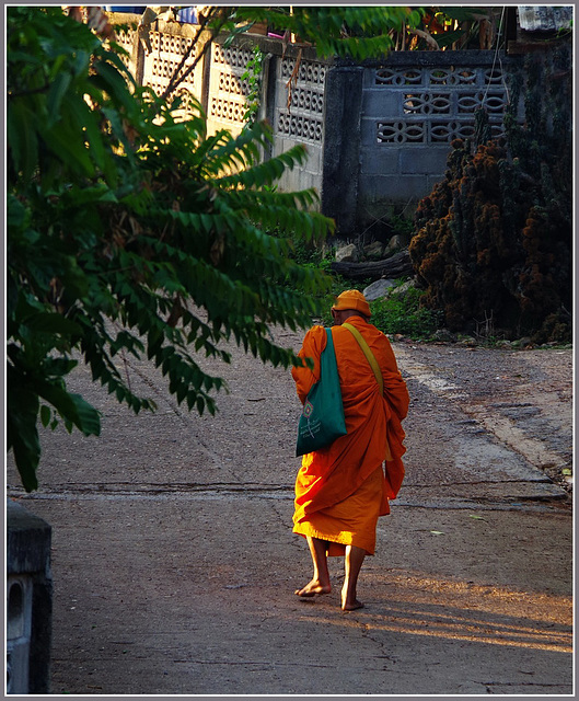 Un moine, en route pour la quête matinale.....