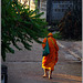 Un moine, en route pour la quête matinale.....