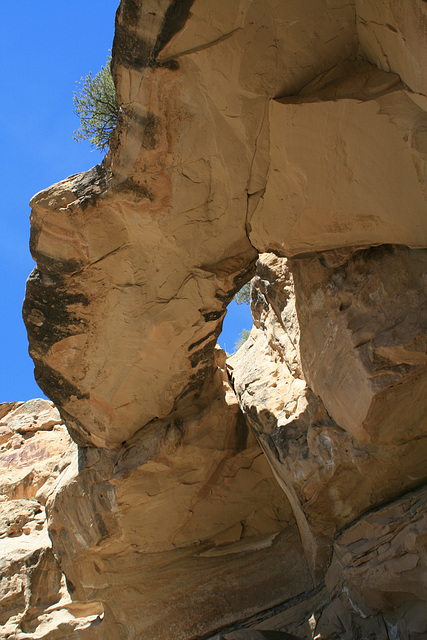 Unnamed Arch