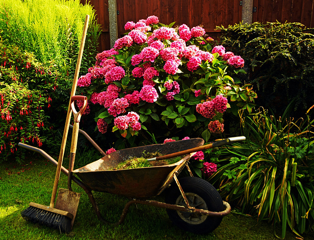 A gardener's work is never done!