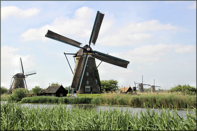 Moulins de Kinderdijk (NL) 17 mai 2018.
