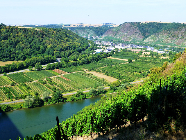 DE - Winningen - Moselle valley lookout