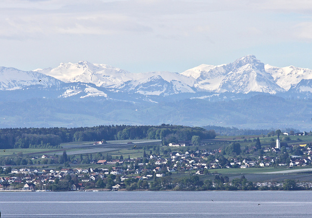 Blick über den Bodensee auf Schweizer Alpen