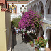 In the Courtyard of the Panormytis Monastery on the Island of Symi