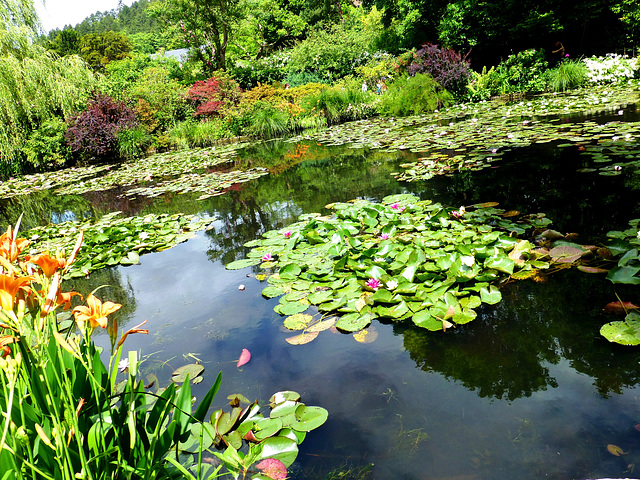 FR - Giverny - Garten von Claude Monet