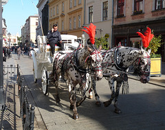 Krakow- Transport For Tourists