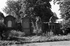Hauptfriedhof Ludwigshafen