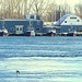 Great Lakes commercial fishing fleet, Ontario.