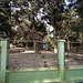 Singes et clôture / Fence and monkeys (Laos)