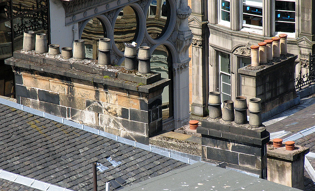 Chimneypots with gull