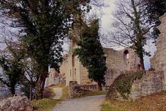Burgruine Homburg - Castle Ruin Homburg - Les ruines du château Homburg