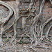Tree roots wrapped around a temple.