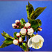 Kirschblüten 2. ©UdoSm