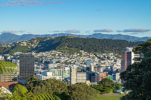 Neuseeland - Wellington