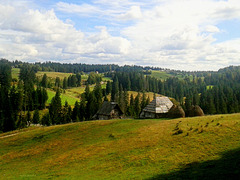 Mountain scenery from Petrovo Polje