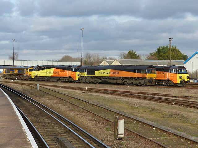 Freight Quartet at Eastleigh (2) - 27 January 2015