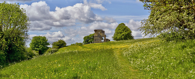 Ayton Castle  in Spring meadow, North Yorkshire (Plus 2 x Pip's)