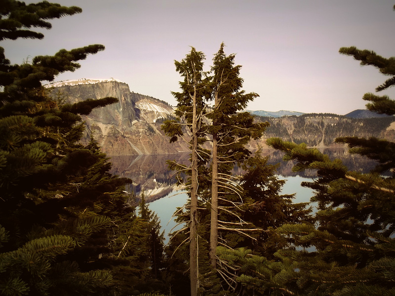 Mountain, lake, spruce trees