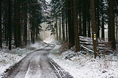 Winter im Steigerwald - Winter in the Steigerwald Nature Park