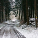 Winter im Steigerwald - Winter in the Steigerwald Nature Park