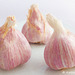 Garlic High Key Topaz Filter 071216