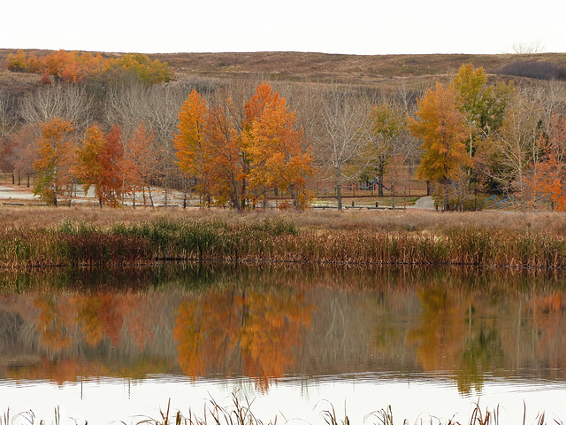 Fish Creek Park on a low-light day